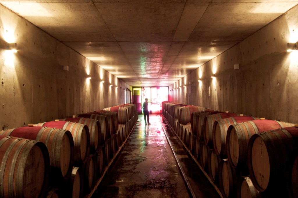 Ventolera Winery by Francisco Izquierdo