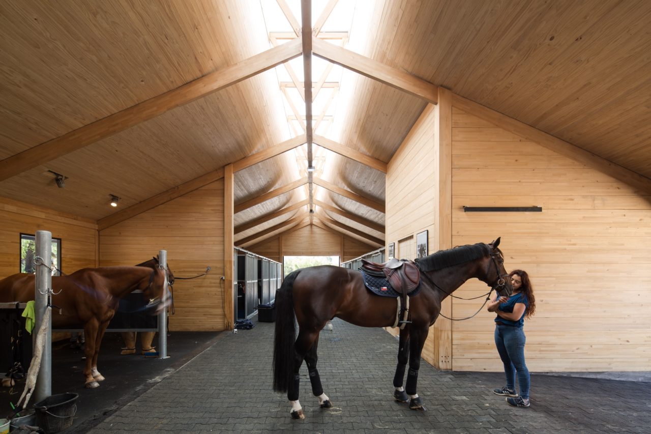 MSporthorses Stable by Matias Zegers