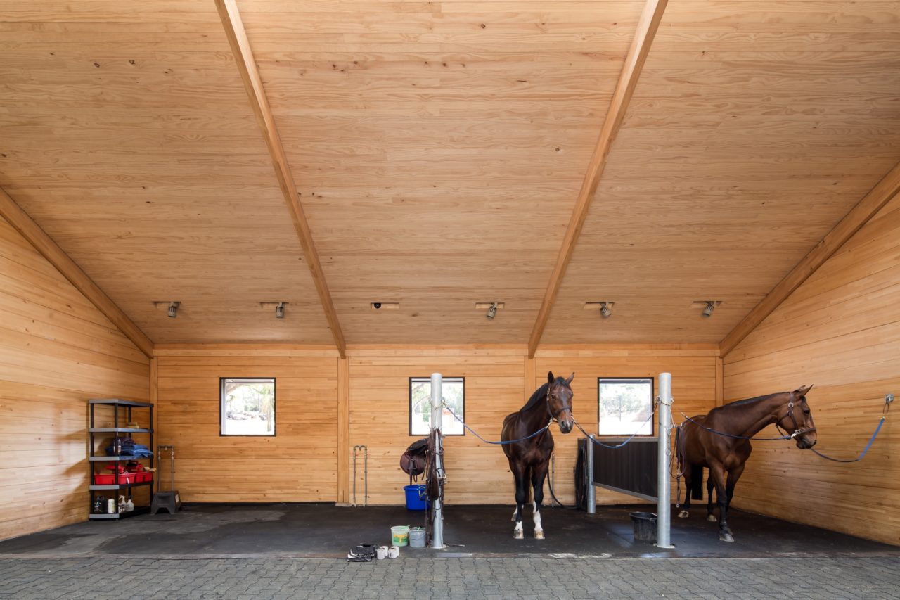 MSporthorses Stable by Matias Zegers