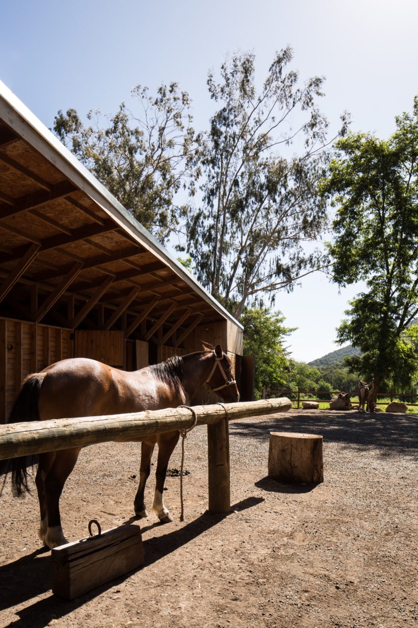 Pilay Horse Stable by Duval+Vives Arquitectos