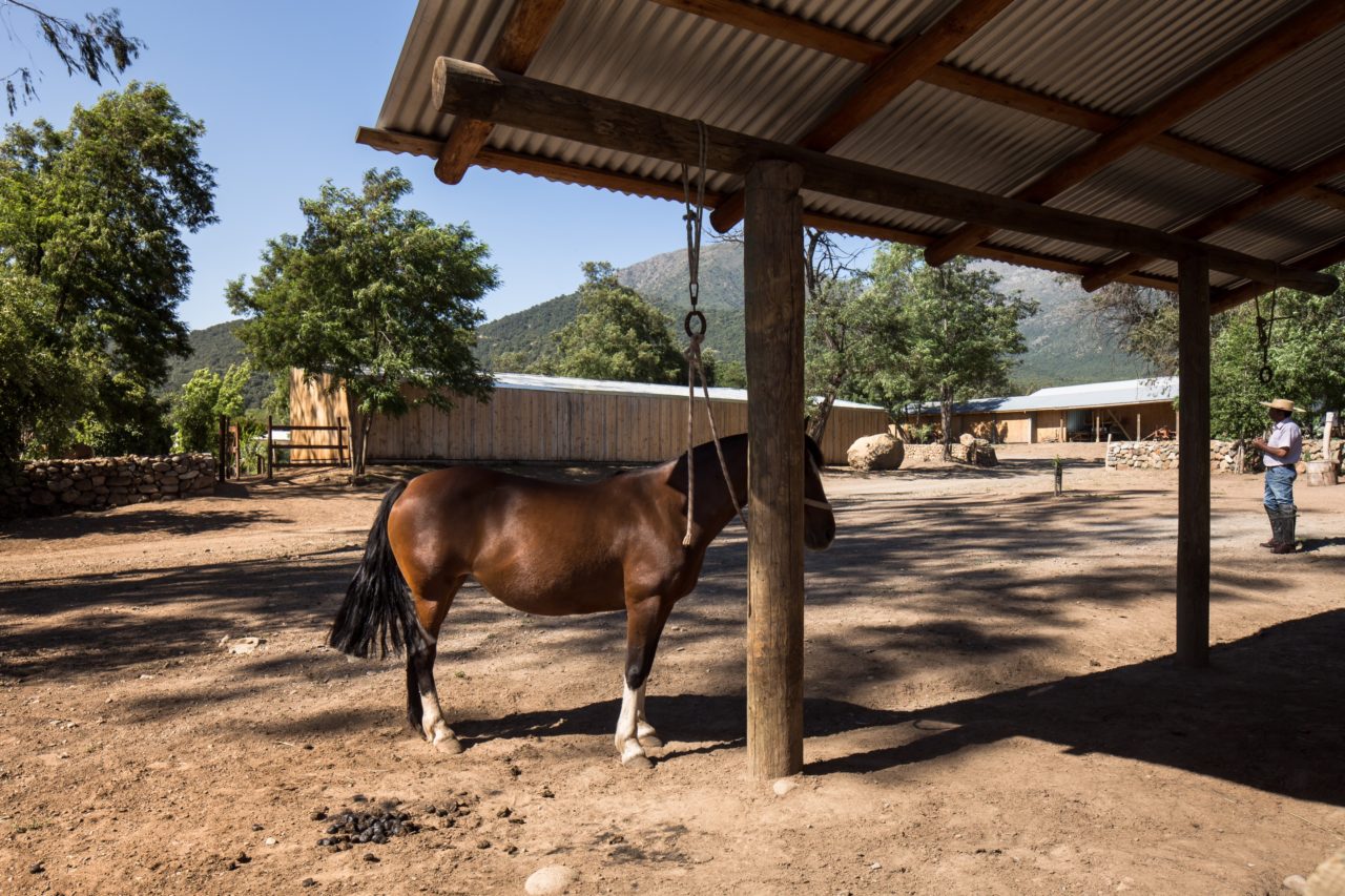 Pilay Horse Stable by Duval+Vives Arquitectos