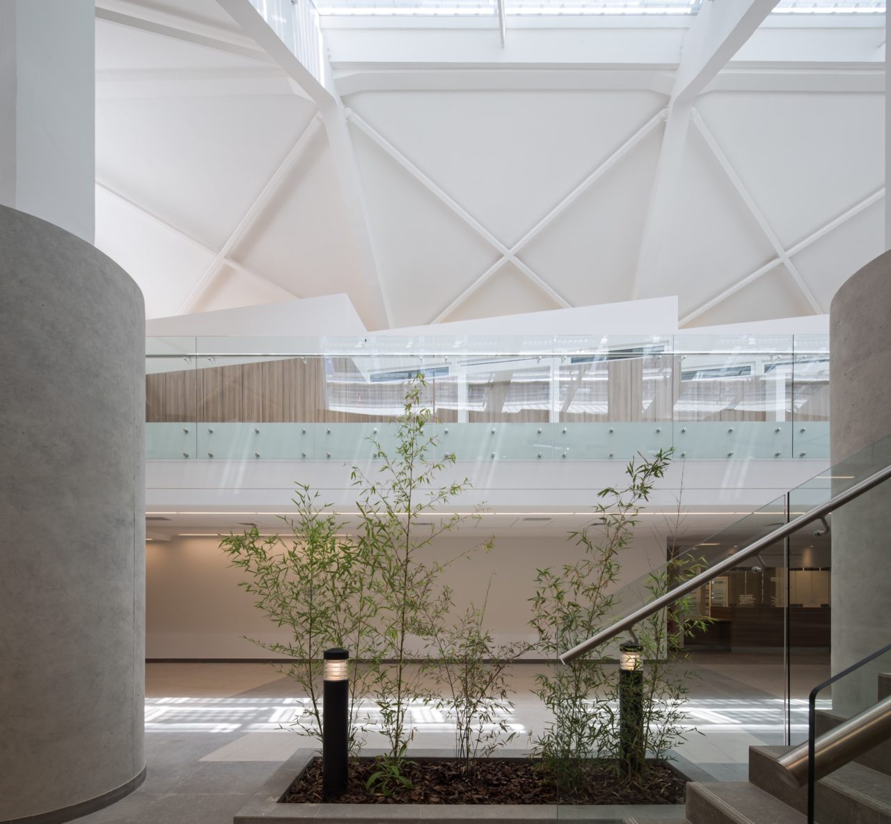 Centro Judicial La Serena - 4D Arquitecto