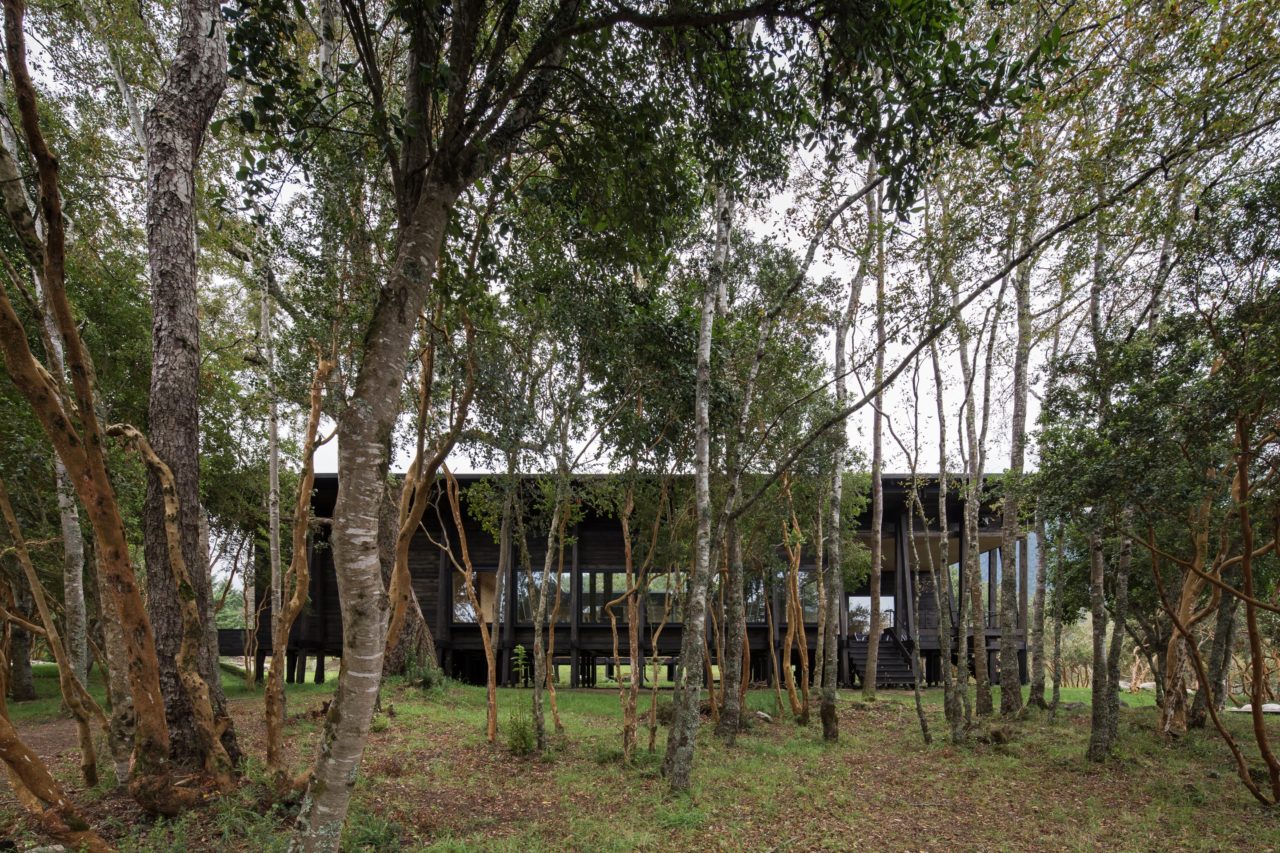 Casa Lago Ranco / Guillermo Hevia + Catalina Poblete