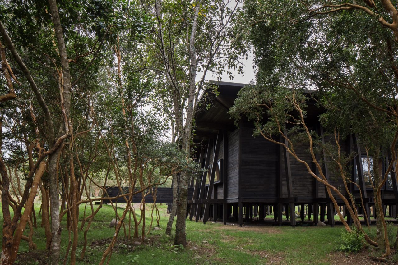 Casa Lago Ranco / Guillermo Hevia + Catalina Poblete