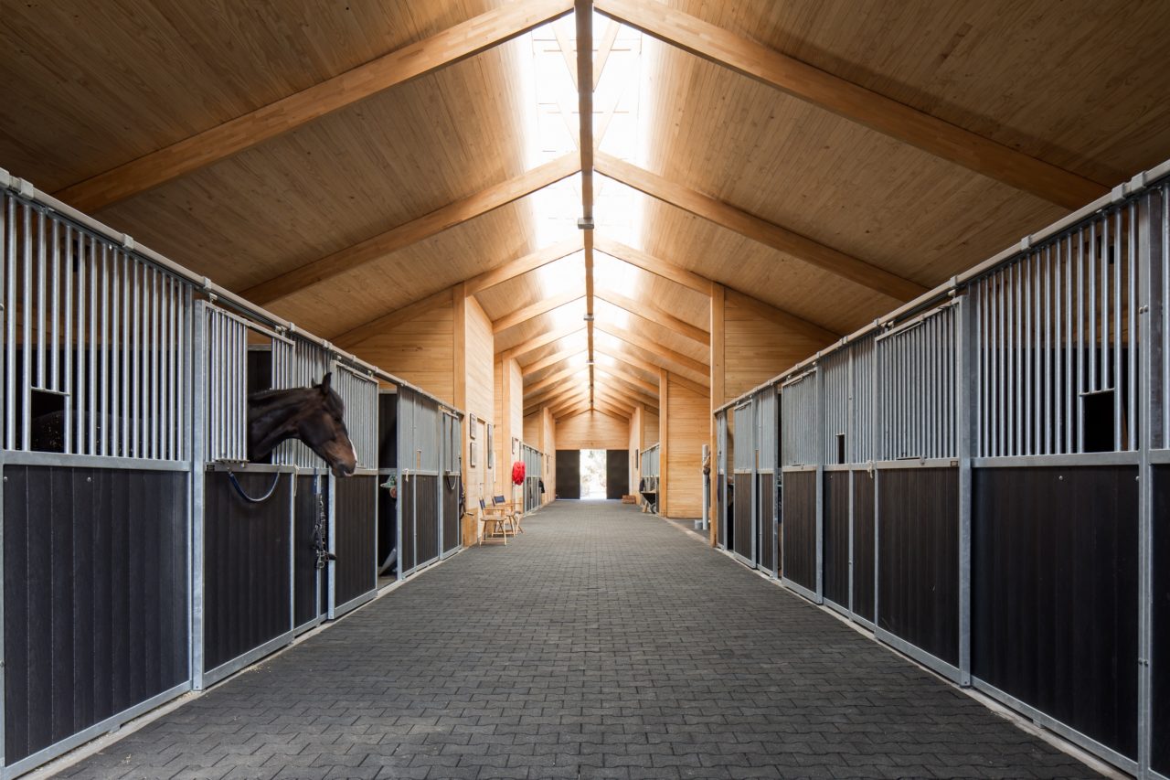 MSporthorses Stable by Matias Zegers